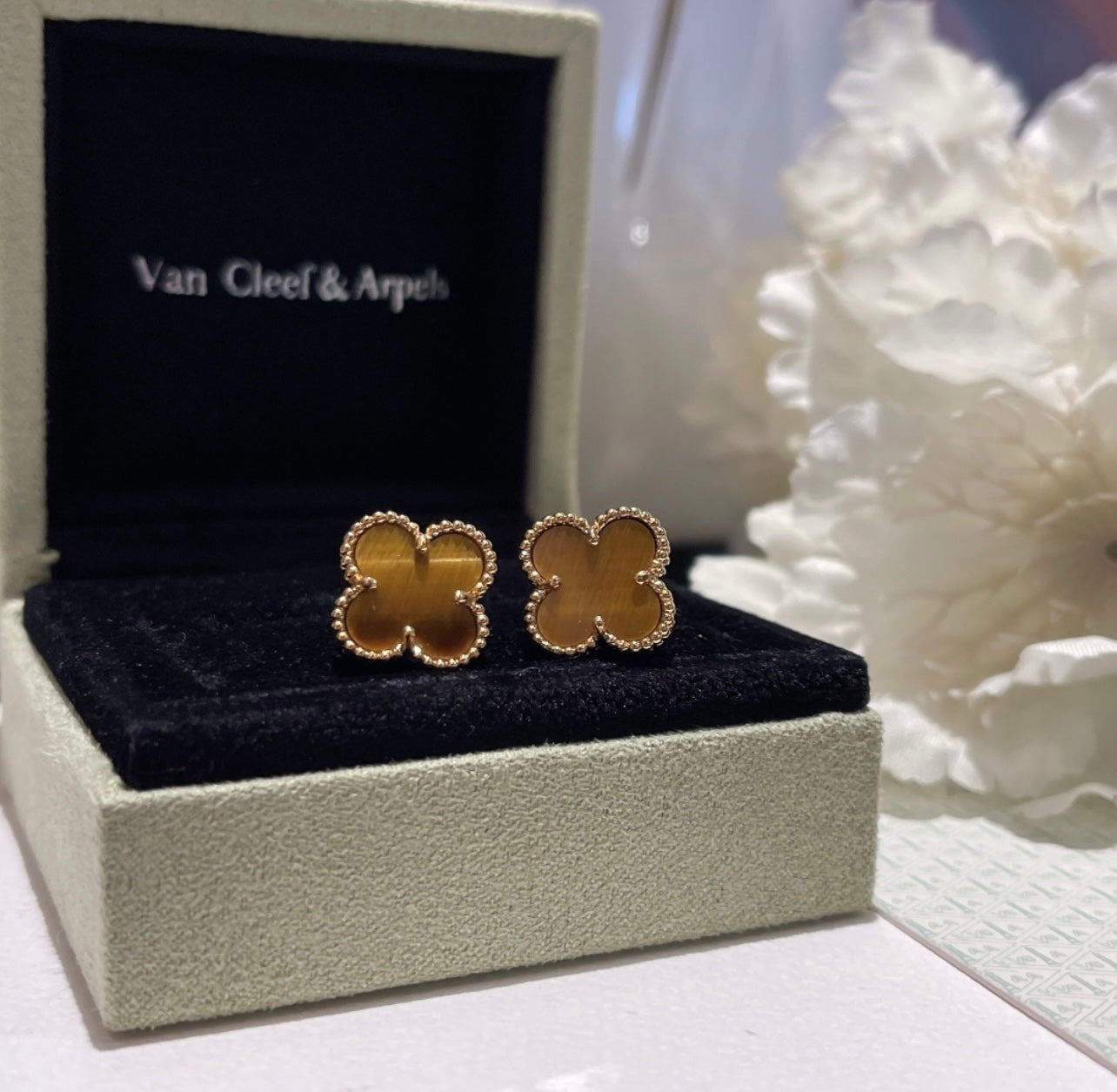 עגילי תלתן בגוון חום – אלגנטיות קלאסית