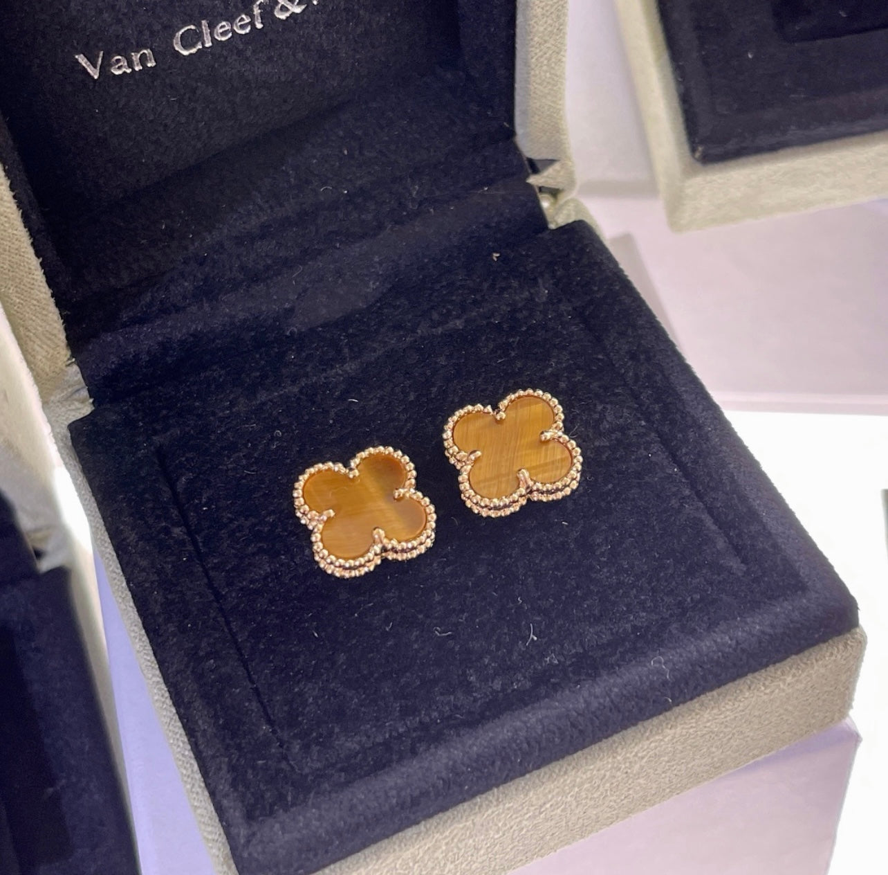 עגילי תלתן בגוון חום – אלגנטיות קלאסית